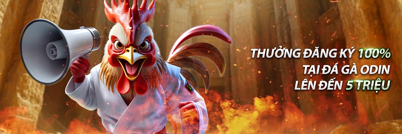 Bảo mật thông tin người dùng và mã hóa dữ liệu